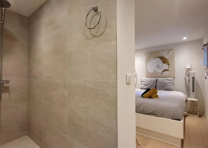 Apartment Le Delmas Riviera - Duplex Dans Vieil Antibes